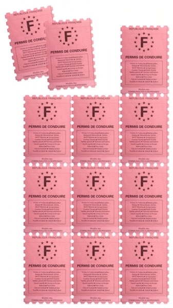 permis à points